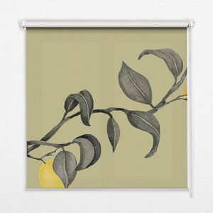 TULUP VNITŘNÍ roleta - okenní roleta - roleta - 120x140 cm - Citrony na stromě obraz