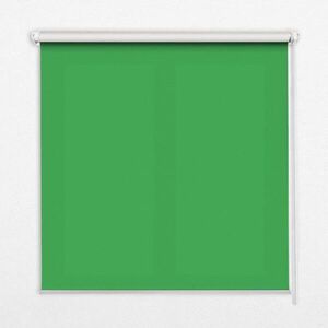 TULUP VNITŘNÍ roleta - okenní roleta - roleta - 140x140 cm - Zelený obraz