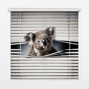 TULUP VNITŘNÍ roleta - okenní roleta - roleta - 120x140 cm - Koala obraz