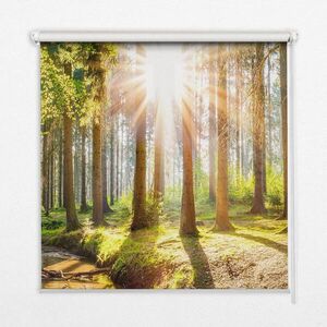 TULUP VNITŘNÍ roleta - okenní roleta - roleta - 120x140 cm - Slunce prorážející stromy obraz