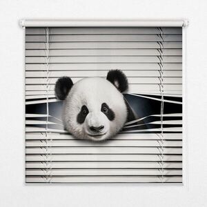 TULUP VNITŘNÍ roleta - okenní roleta - roleta - 150x140 cm - Panda obraz