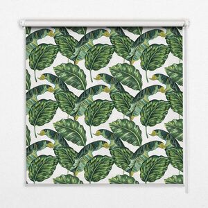 TULUP VNITŘNÍ roleta - okenní roleta - roleta - 100x100 cm - Exotické listy obraz