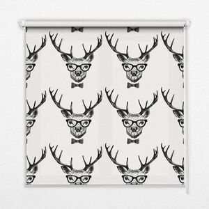 TULUP VNITŘNÍ roleta - okenní roleta - roleta - 100x140 cm - Sob s brýlemi obraz