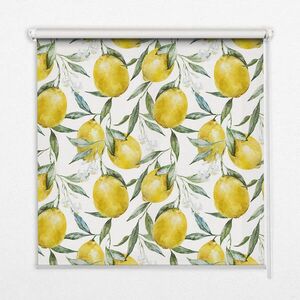 TULUP VNITŘNÍ roleta - okenní roleta - roleta - 150x140 cm - Citrony obraz