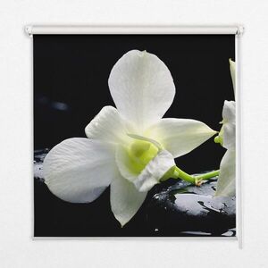 TULUP VNITŘNÍ roleta - okenní roleta - roleta - 150 x180 cm - Orchideje obraz