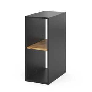 Vicco PC SKŘÍŇ Tomy Antracit/zlatý dub 28.5 x 50 cm , 2 přihrádky obraz