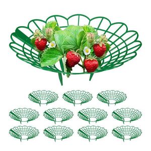 Relaxdays DRŽÁK zelený 12-dílná sada plast 10x30 cm obraz