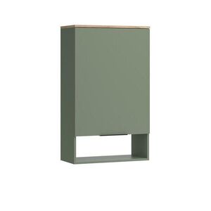 Vicco STĚNOVÁ POLICE Wido Zelená 60 x 100 cm s dveřmi obraz