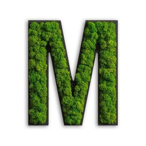 StyleGREEN MECHOVÝ OBRAZ obraz