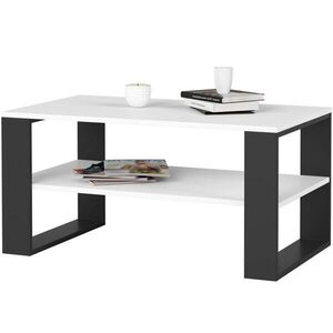 RAUMHIRSCH FURNITURE KONZOLOVÝ STOLEK Bílá, černá 45/92/53 obraz