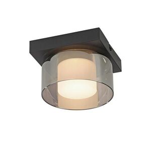 Paul Neuhaus STROPNÍ LED SVÍTIDLO, 15/15/10 cm obraz
