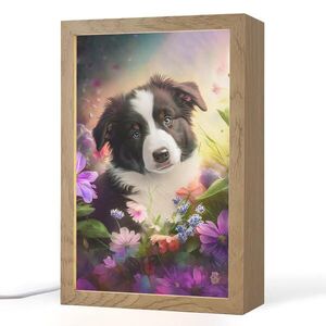 OnlyWow NOČNÍ LAMPIČKA Štěně - Slunce - Květiny - Příroda - Border kolie - Pes 20x30 cm obraz