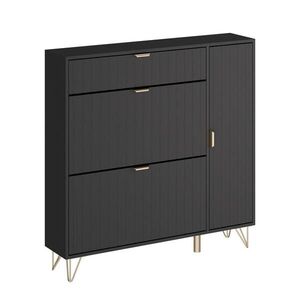 Vicco SKŘÍŇ NA BOTY Helge Černá 108 x 107.5 cm obraz
