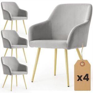 RAUMHIRSCH FURNITURE ČALOUNĚNÁ ŽIDLE, sada 4 ks, kovové nohy šedé, zlaté 54, 5/83/58 obraz