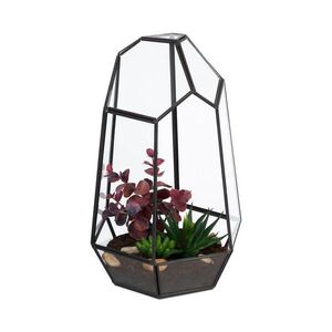Relaxdays TERÁRIUM černé sklo geometrický tvar 25 cm obraz