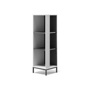 Vicco KNIHOVNA Eliza Bílá 36 x 120 cm 3 předměty obraz