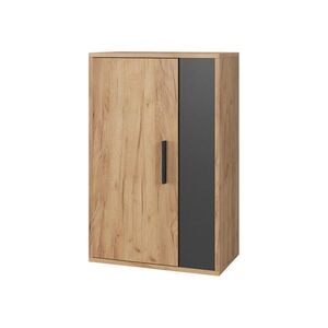 Vicco NÁSTĚNNÁ SKŘÍŇKA Berno Zlatý dub power/antracit 50.1 x 78.4 cm se 2 přihrádkami obraz
