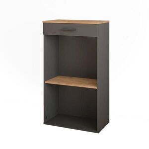 Vicco STOJAN NA VÍNO Repose Zlatý dub power/antracit 60 x 106 cm obraz