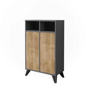 Vicco MIDI SKŘÍŇKA Leano Antracit/horský dub 60 x 97 cm se 2 dveřmi obraz