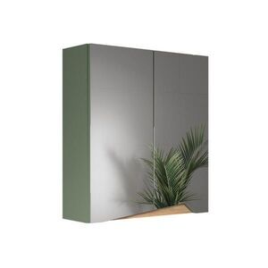 Vicco KOUPELNOVÁ ZRCADLOVÁ SKŘÍŇKA Marelle Zelená/umělecká 60 x 67 cm s policemi obraz