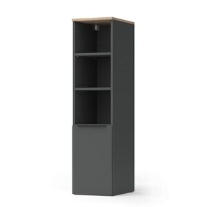 Vicco UNIVERZÁLNÍ SKŘÍŇ Wido Anthracite/Sonoma 30.2 x 120 cm s dveřmi obraz