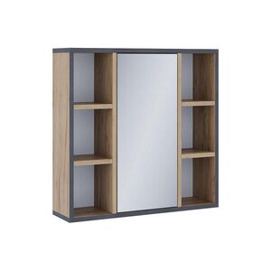 Vicco KOUPELNOVÁ ZRCADLOVÁ SKŘÍŇKA Stephan Zlatý mocný dub 60 x 59.2 cm S policemi a zrcadlovými dveřmi obraz