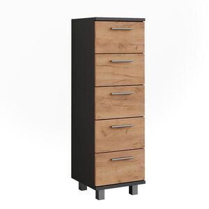 Vicco MIDI SKŘÍŇKA Ilias Antracit/zlatý dub 30.2 x 95 cm obraz