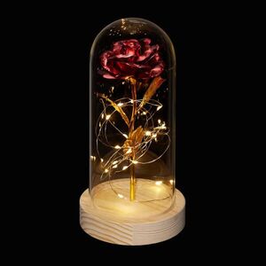 Relaxdays RŮŽE červená pod skleněným poklopem LED 22x11 cm obraz