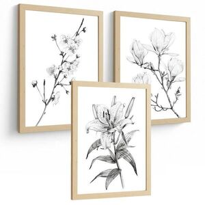 PLAKAT Sada 3 obrázků květin. Dekorativní nástěnné tisky Květiny tužkou. botanický plakát na zeď.Rám z lehkého dřeva velikosti A3 obraz