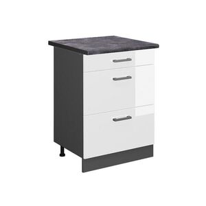 Vicco SPODNÍ SKŘÍŇKA KUCHYŇSKÉ LINKY R-Line Bílá vysoký lesk 60 cm se zásuvkami, PD Antracit obraz