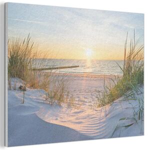 MuchoWow AKUSTICKÝ obraz Pláž - Slunce - Duna - Tráva - Písek - Horizont 80x60 cm obraz