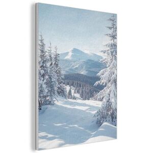MuchoWow AKUSTICKÝ obraz Zimní krajina - Příroda - Hory - Stromy - Sníh 60x80 cm obraz