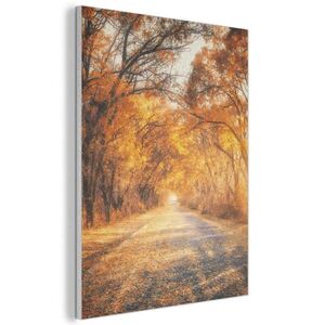 MuchoWow AKUSTICKÝ obraz Les - Podzim - Stromy - Lesní cesta - Příroda 60x80 cm obraz
