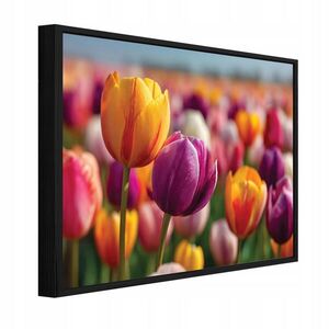 Wallarena ZARÁMOVANÉ obrazy květin tulipánů barevné 100x70 cm obraz