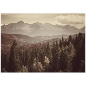 Wallarena FOTOTAPETA Les Příroda Hnědá 200x140 cm obraz
