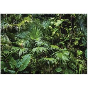 Wallarena FOTOTAPETA Jungle Forest Vliesová tapeta 400x280 obraz