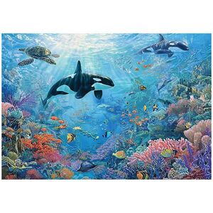 Wallarena FOTOTAPETA s motivem korálového útesu modrá 400x280 cm obraz