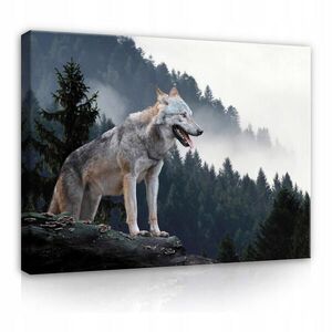 Wallarena OBRAZY NA PLÁTNĚ Vlk Lesní zvířata 60x40 obraz