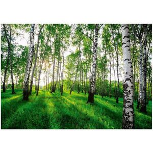 Wallarena FOTOTAPETA les stromy vliesová tapeta 200x140 obraz