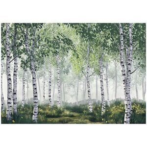 Wallarena 3D efekt Fototapeta Les Stromy Příroda Tapety Obývací pokoj 400x280 obraz