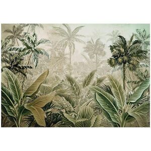 Wallarena FOTOTAPETA Jungle Forest Vliesová tapeta 400x280 obraz