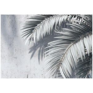Wallarena FOTOTAPETA listy betonově šedá 250x175 cm obraz