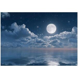 Wallarena FOTOTAPETA Sea Moon Blue 400x280 cm obraz