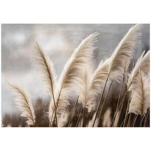 Wallarena FOTOTAPETA Pampas tráva příroda béžová 312x219 cm obraz