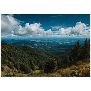 Wallarena FOTOTAPETA krajina les modrá 150x105 cm obraz
