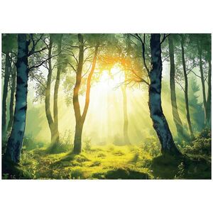 Wallarena 3D efekt fototapeta les příroda do obývacího pokoje 350x250 obraz