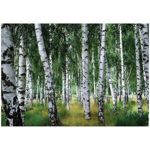 Wallarena FOTOTAPETA: Les Břízy Zelená 200x140 cm obraz