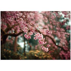 Wallarena FOTOTAPETA Květiny Stromy Růžová 150x105 cm obraz