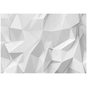 Wallarena 3D abstraktní fototapeta šedá 254x184 cm obraz