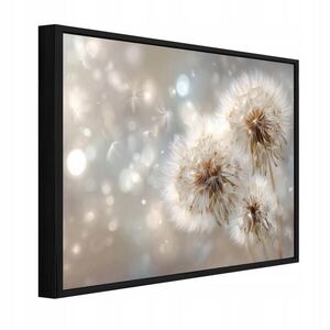 Wallarena ZARÁMOVANÉ obrazy květy pampelišky béžové 100x70 cm obraz